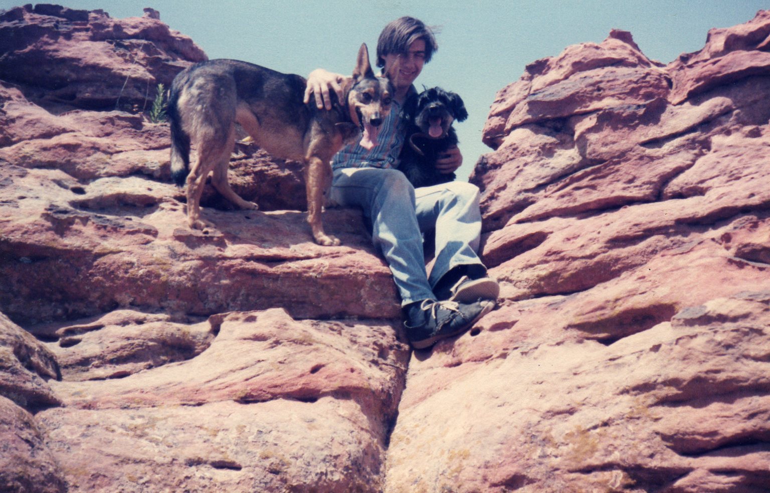 The dogs on the rocks